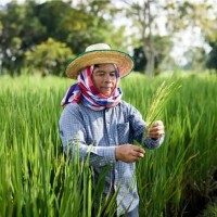 Agriculture & Farming